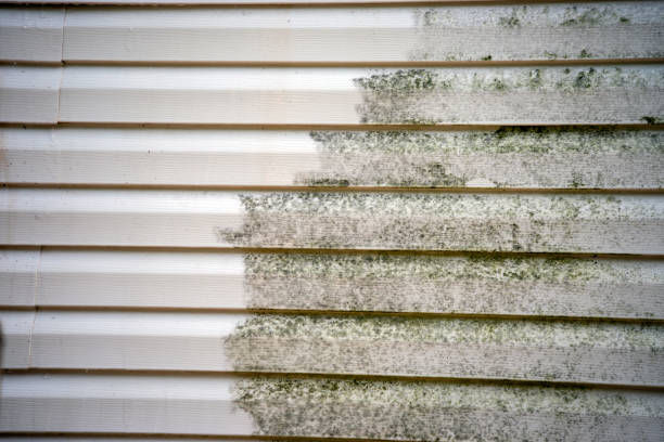 Affordable Siding Repair and Maintenance Services in Burton, MI